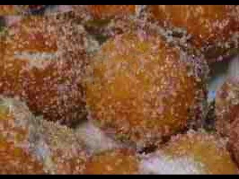 Como hacer buñuelos de viento