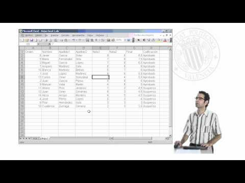 Curso de Excel 2003. Parte 52